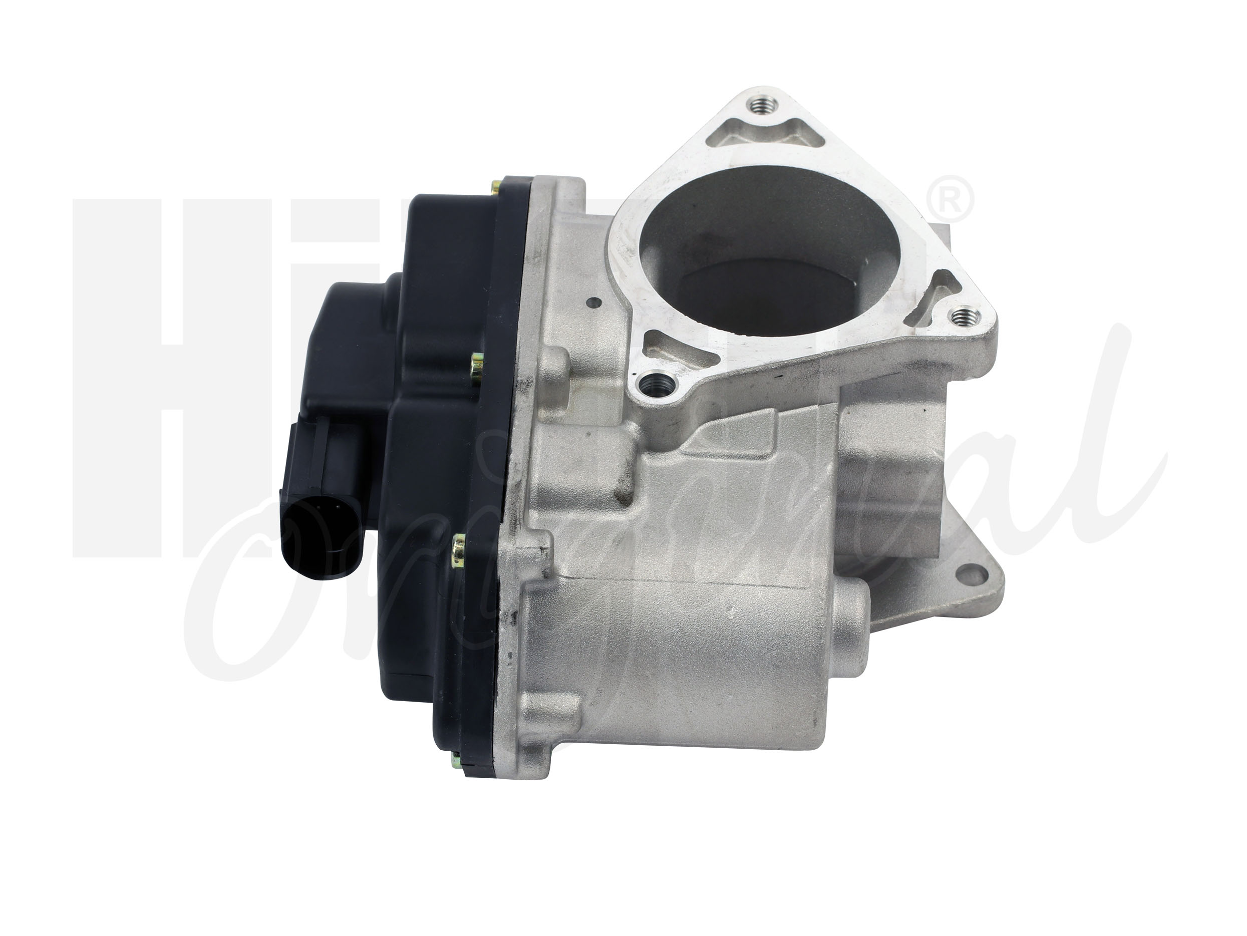 egr_138460_2