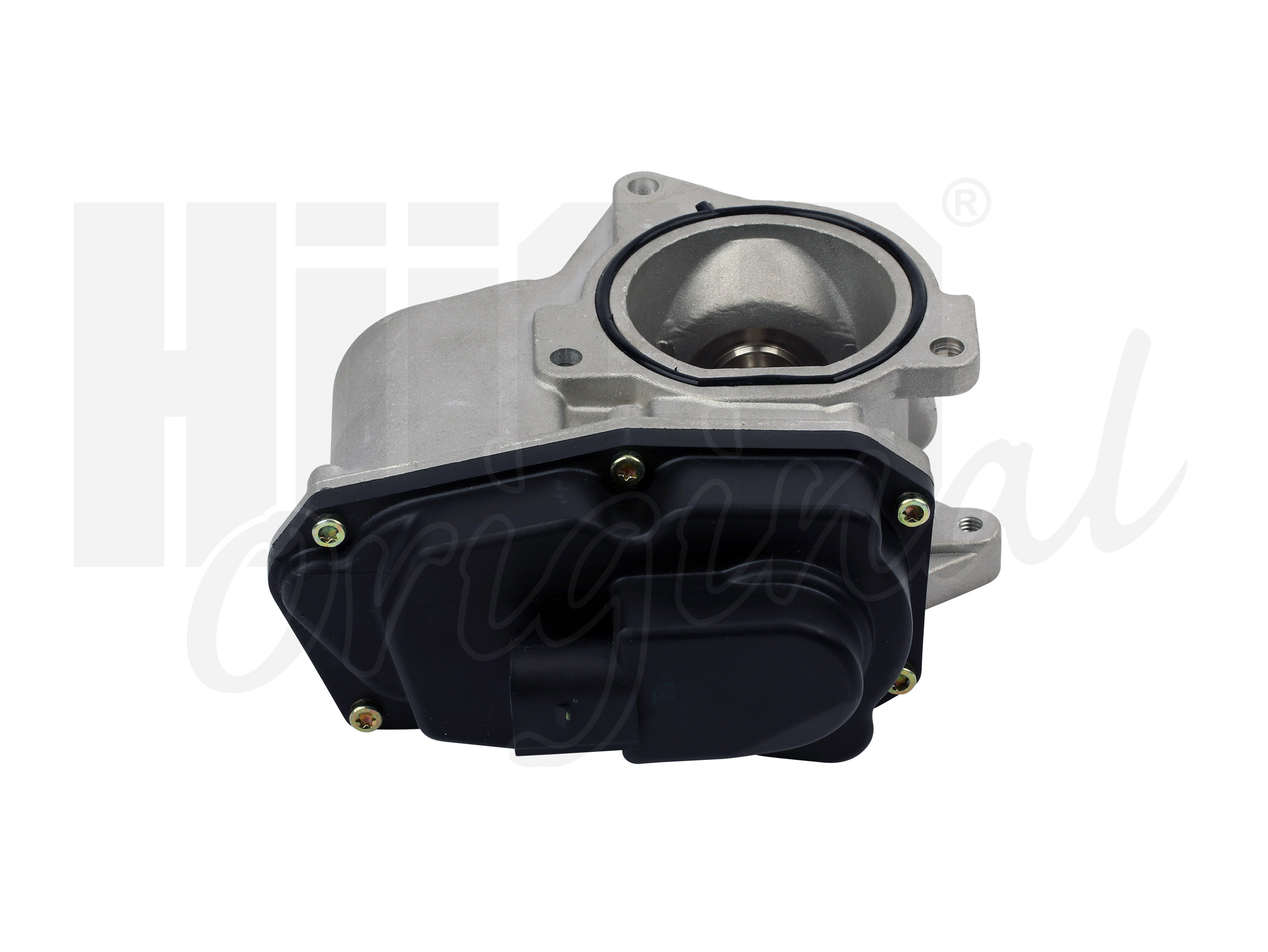 egr_138460_3