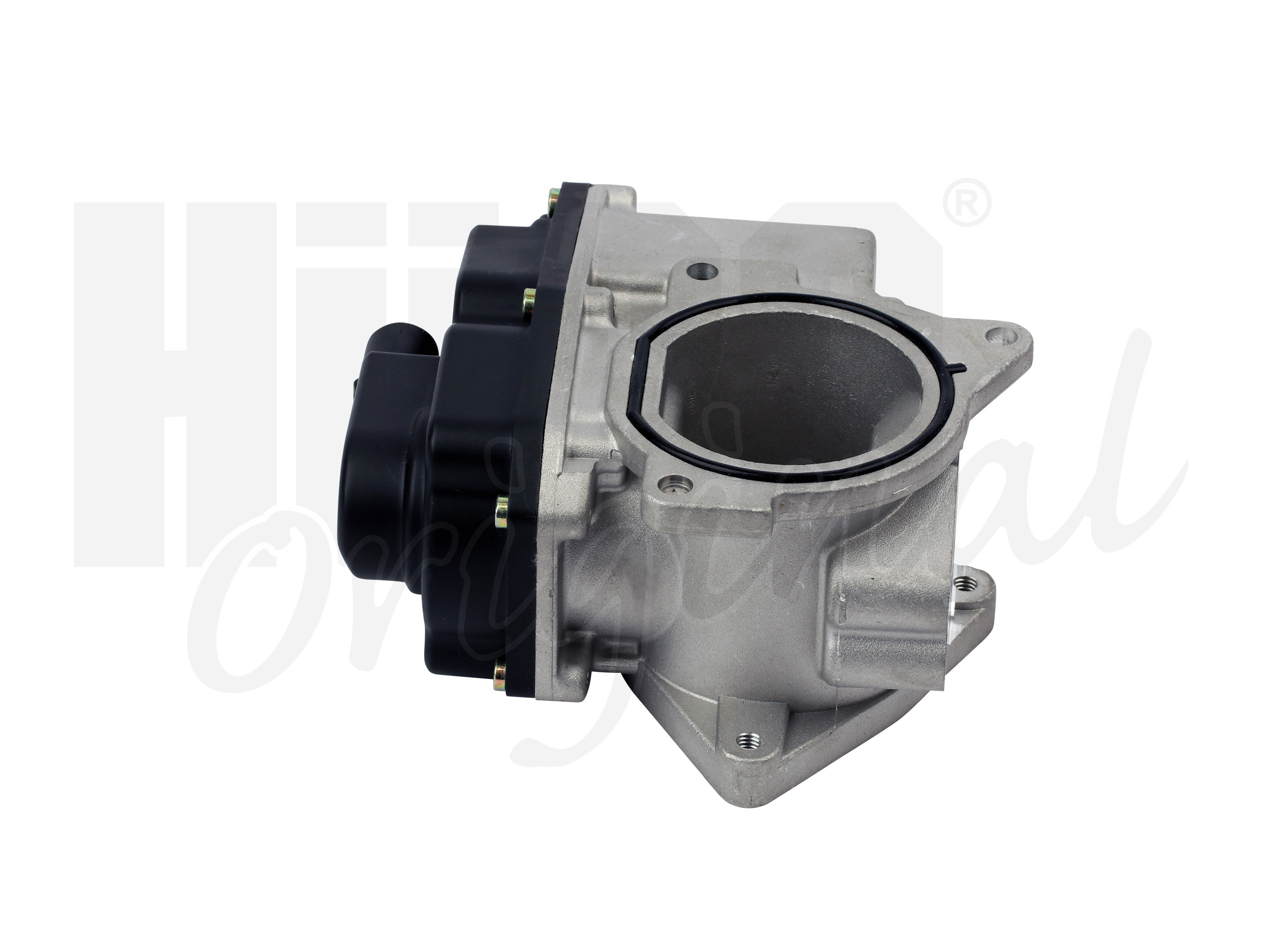 egr_138460_4