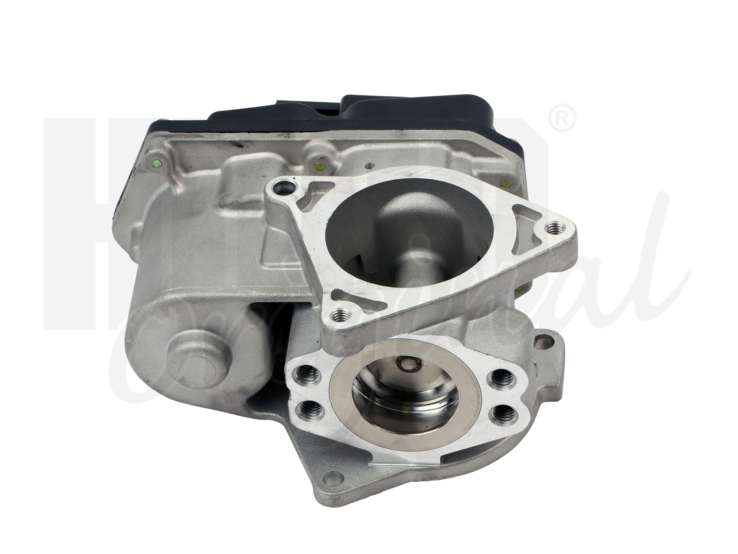 egr_138460_6