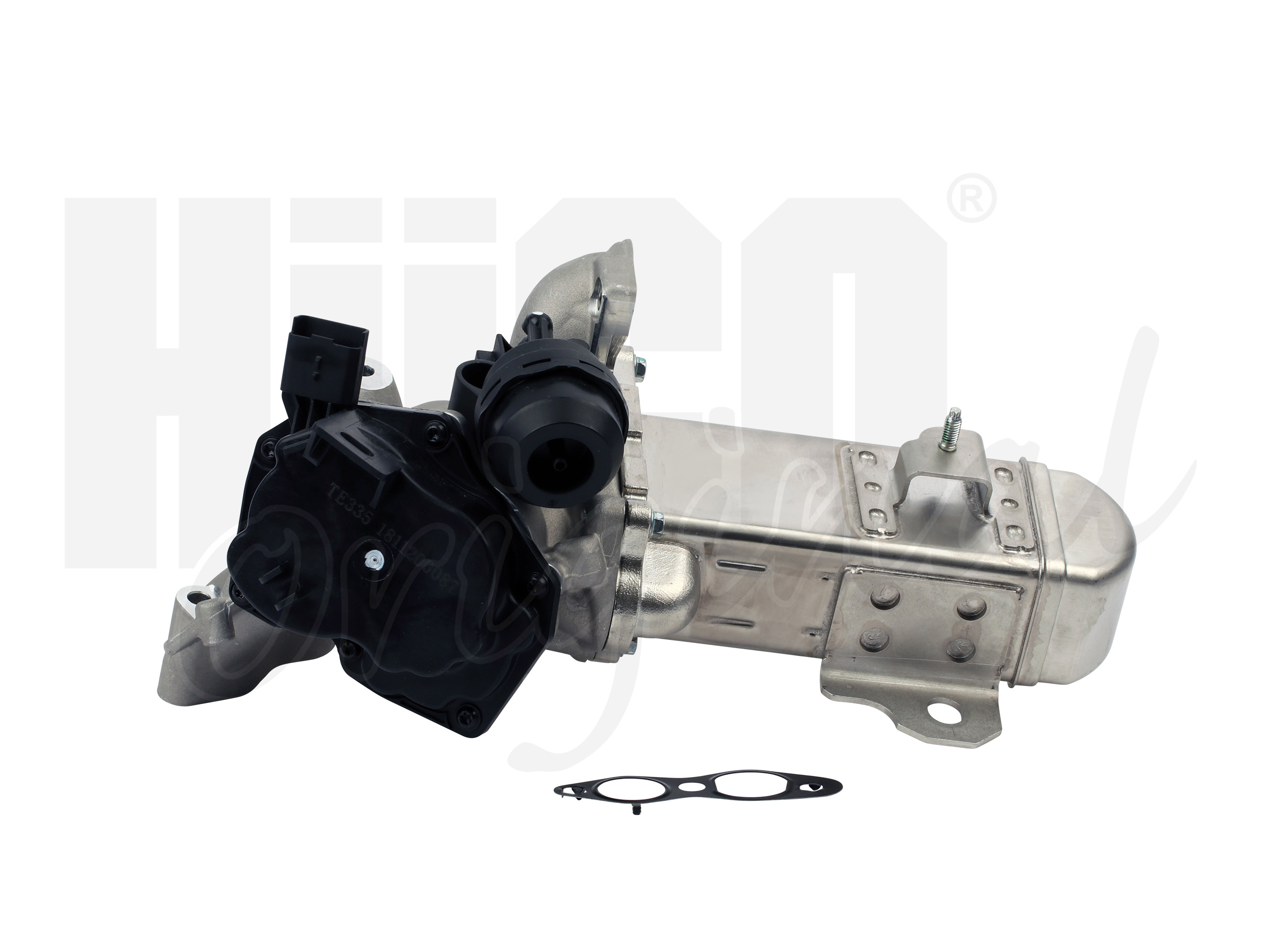 egr_138461-1