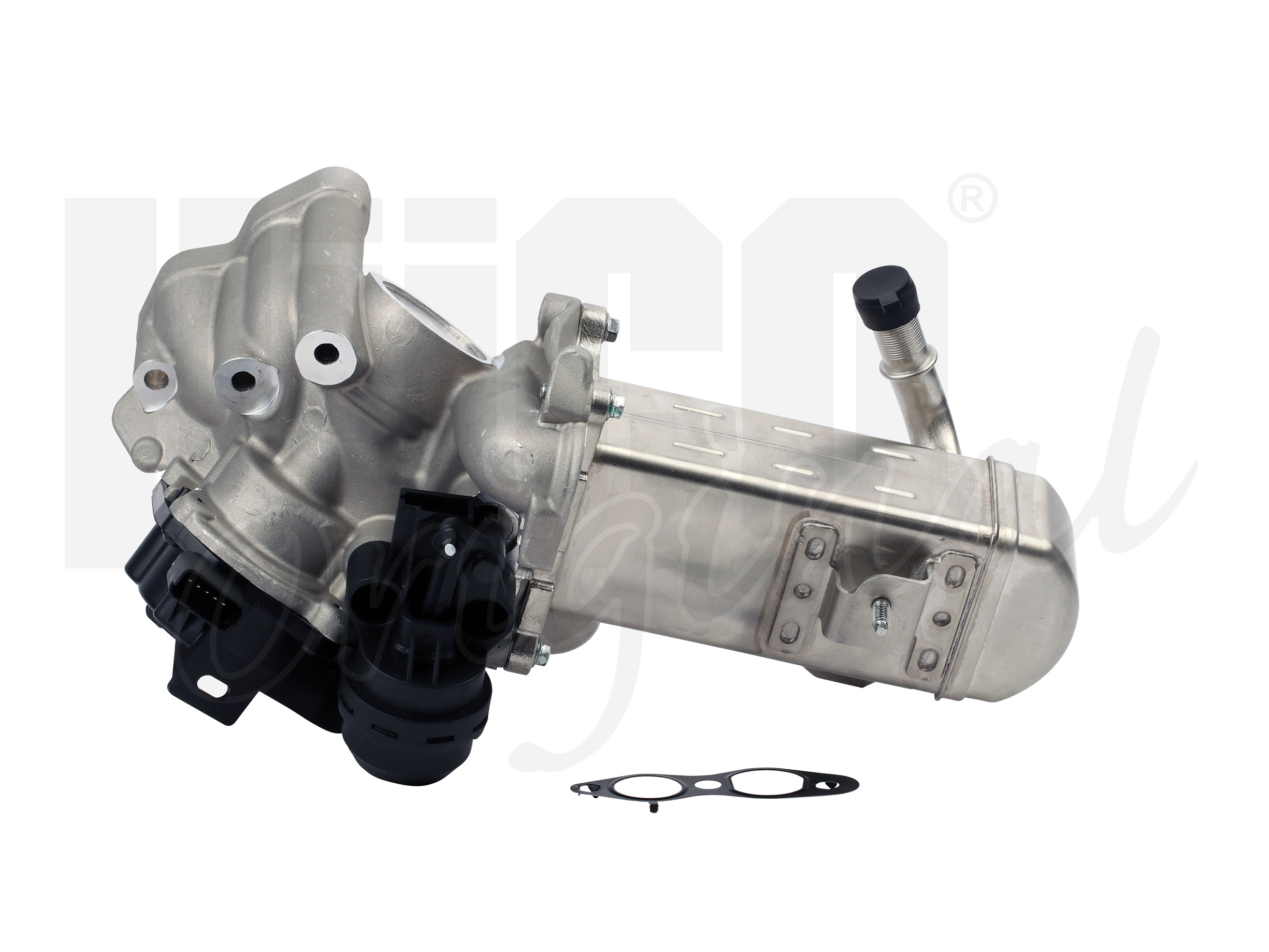 egr_138461-4