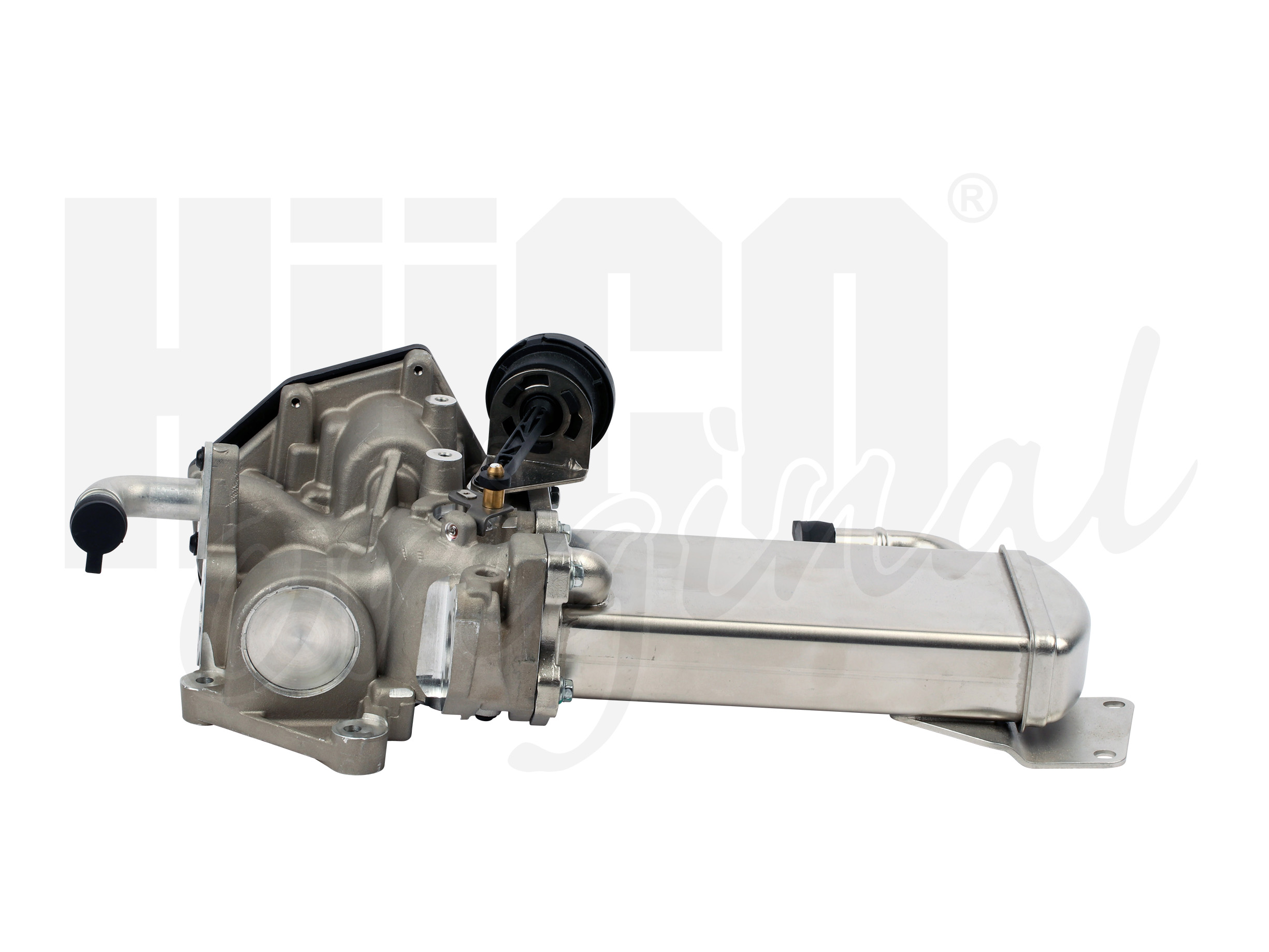 egr_138462-1