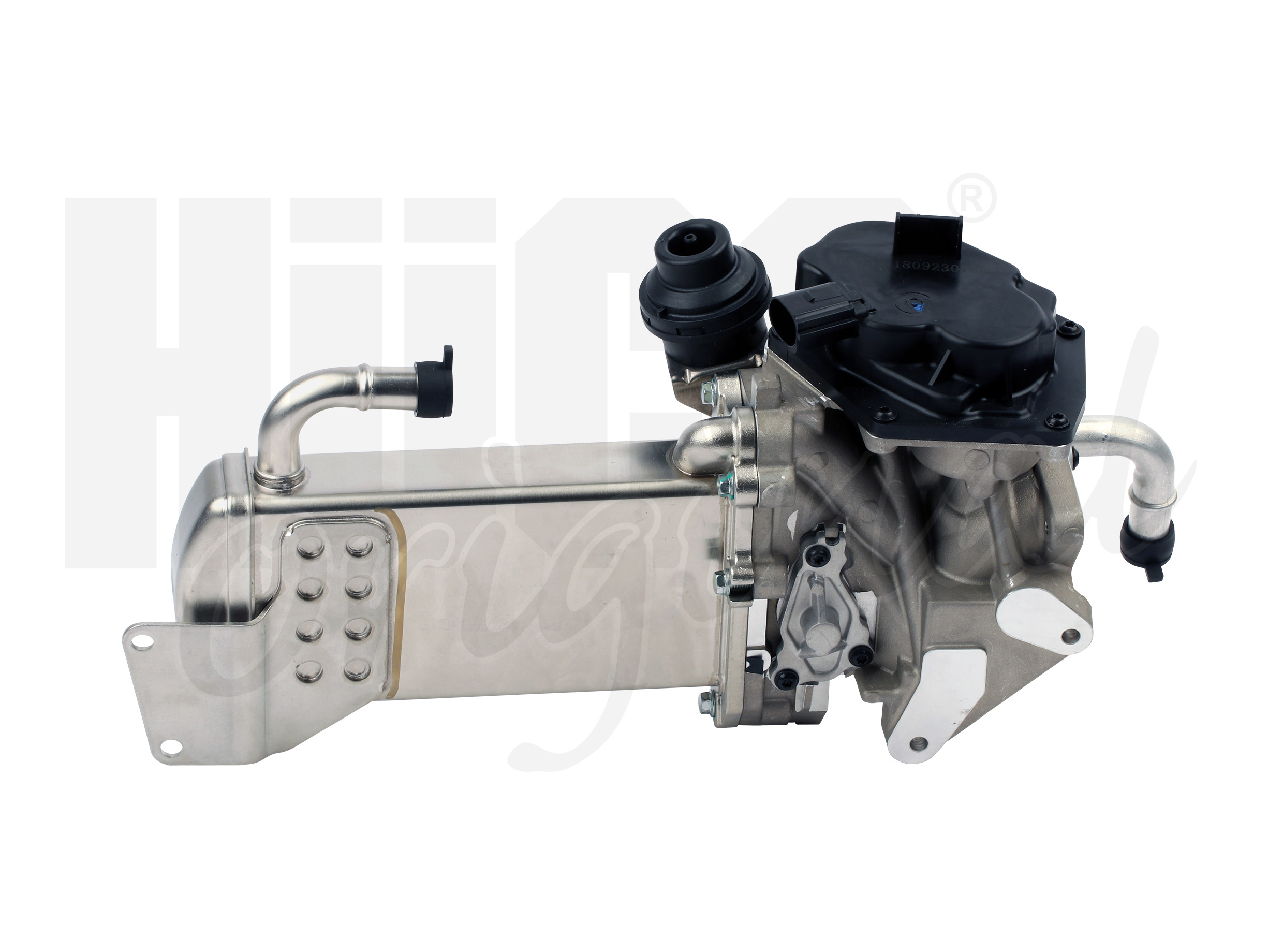 egr_138462-3