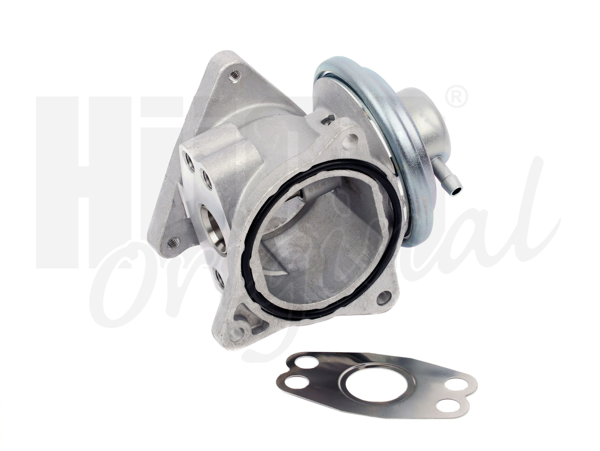 egr_138474_2
