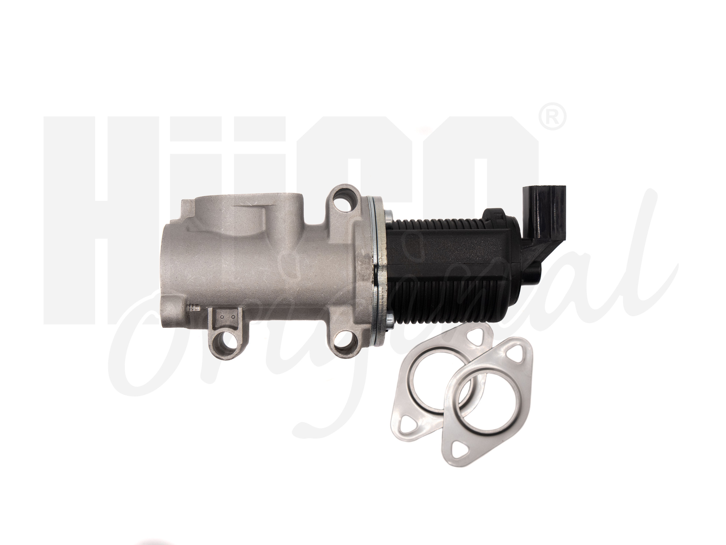 egr_138477_1