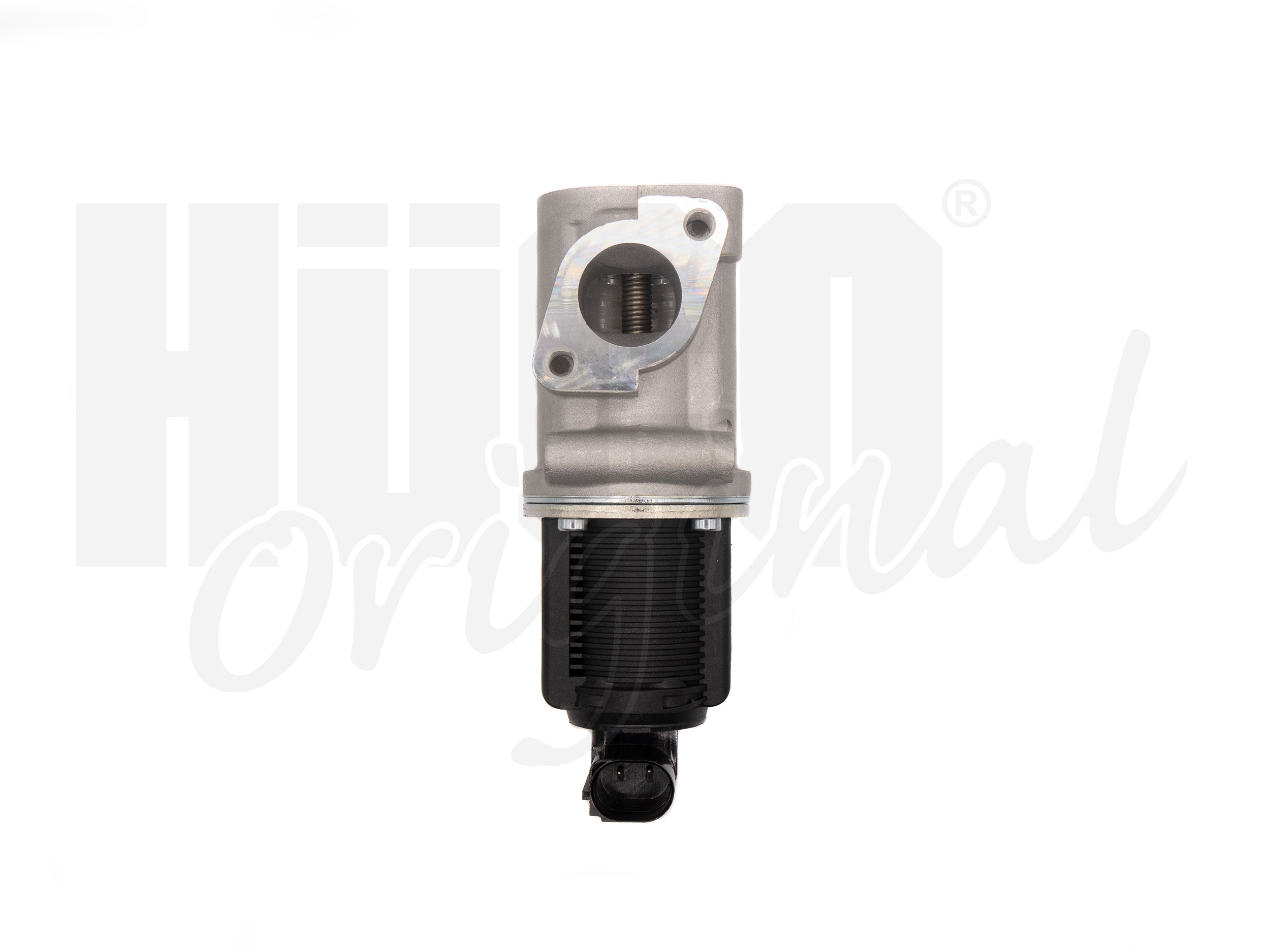 egr_138477_3