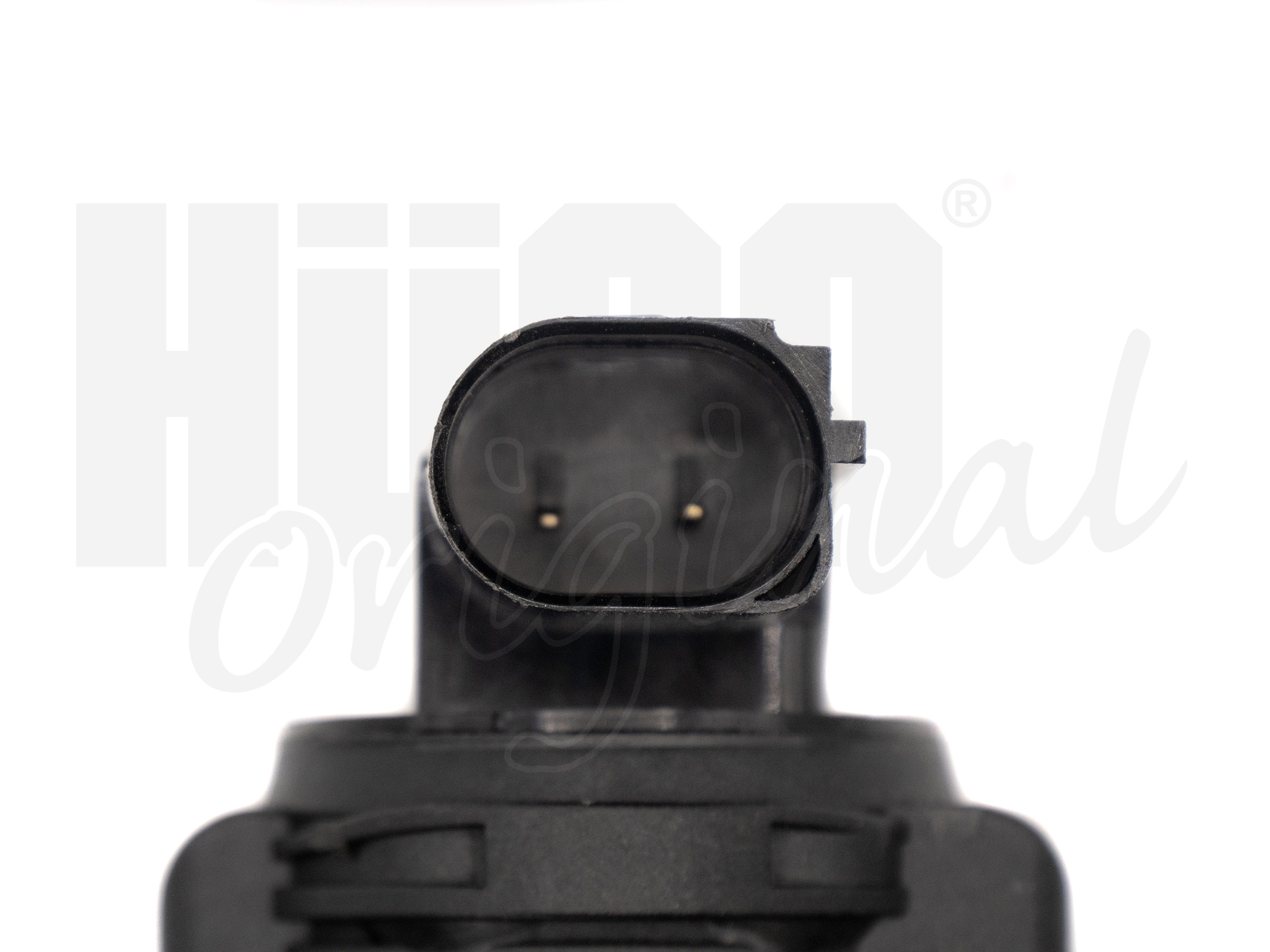 egr_138477_4