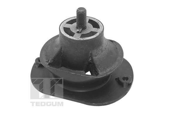 TED40521