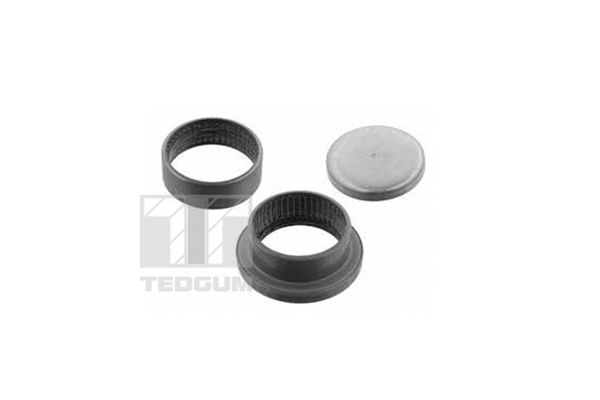 TED53980