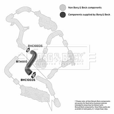 bth1110_1094259