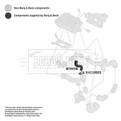bth1118_1094267