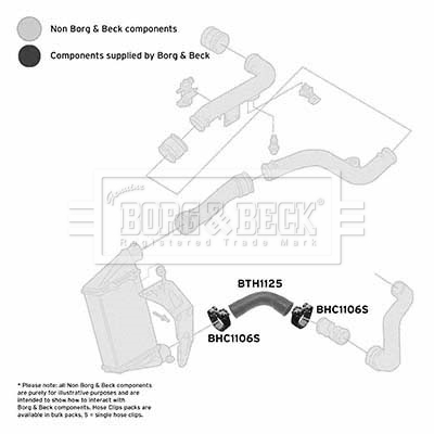 bth1125_1094274