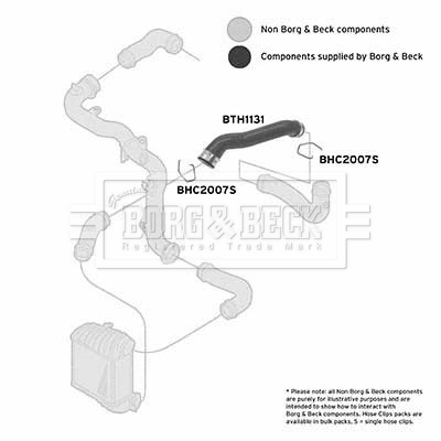 bth1131_1094280