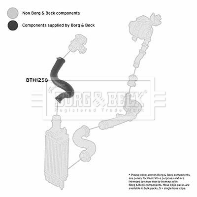 bth1258_1094429