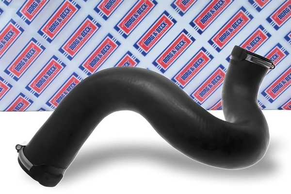bth1258_6049689