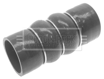 bth1291_222443