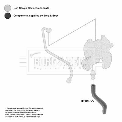 bth1299_1094469