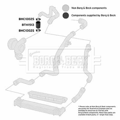 bth1513_1101852