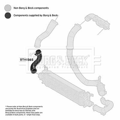 bth1565_1101882