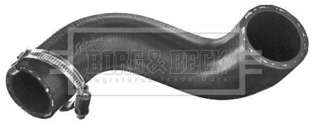bth1565_335706