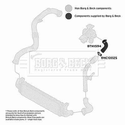 bth1594_1101897