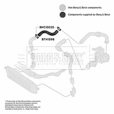 bth1598_1101901