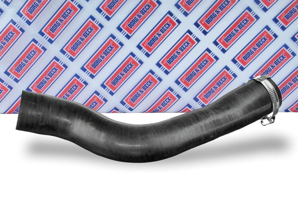 bth1663_6050045