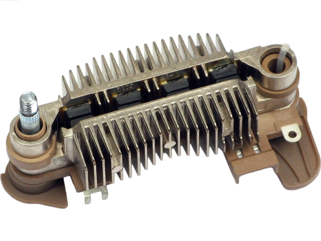 55603