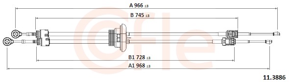 11.3886_1
