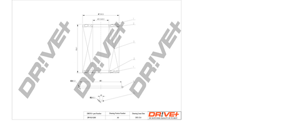 DP1110.11.0101