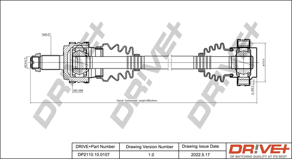 DP2110.10.0107