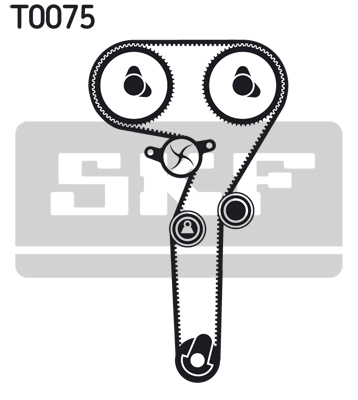 T0075