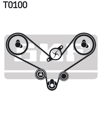 T0100
