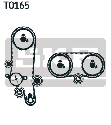 T0165