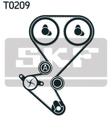 T0209