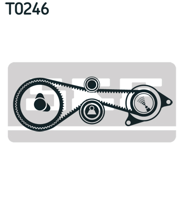 T0246