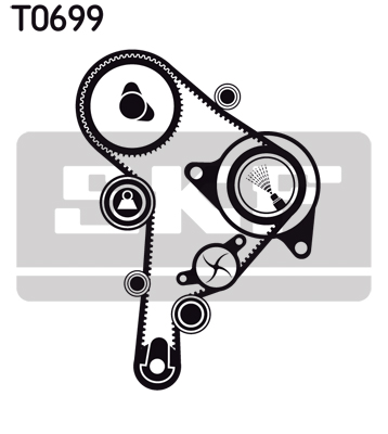 T0699