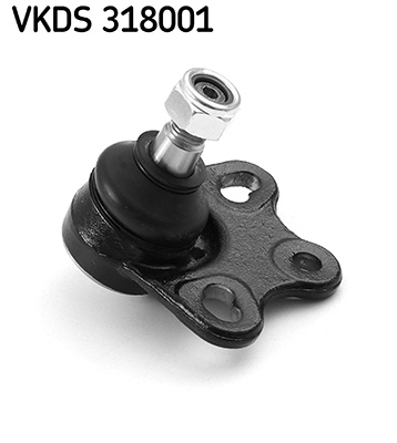 VKDS 318001_3