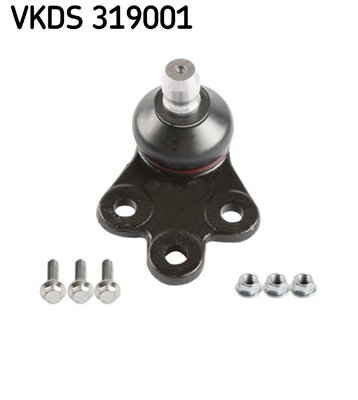 VKDS 319001