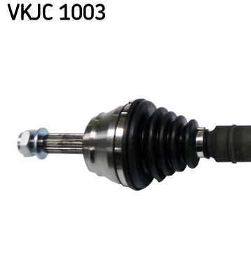 VKJC 1003_2