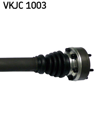 VKJC 1003_3