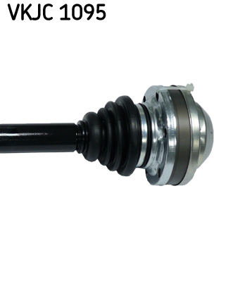 VKJC 1095_3