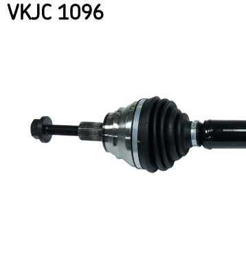 VKJC 1096_2