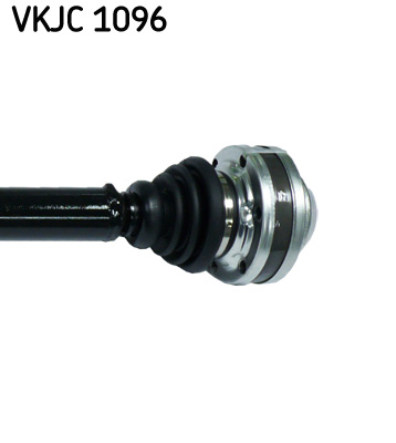 VKJC 1096_3