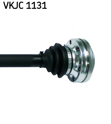 VKJC 1131_3