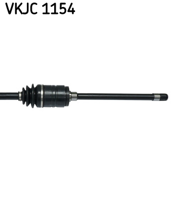 VKJC 1154_3