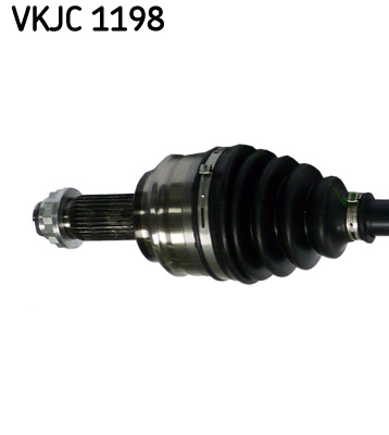 VKJC 1198_2