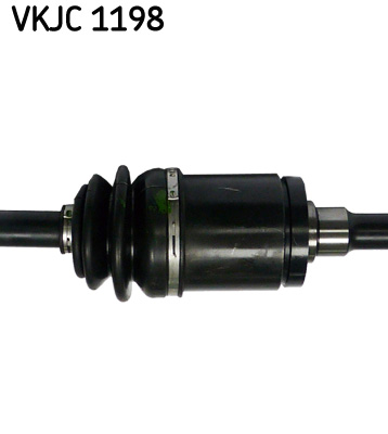 VKJC 1198_3