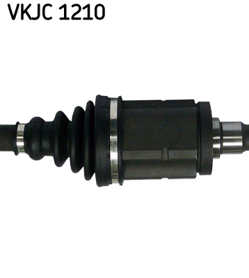 VKJC 1210_3